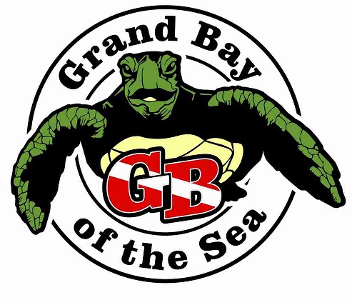 Punta Cana Shark Diving