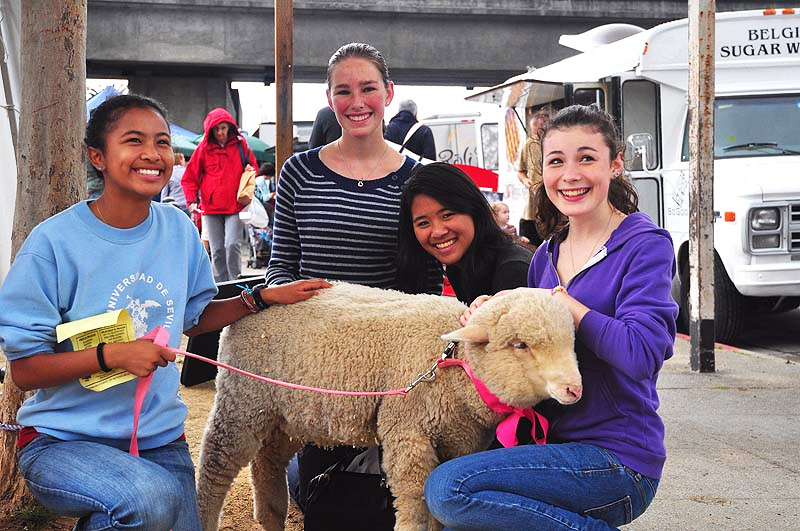 Organic Duvet Covers | Sleep & Beyond