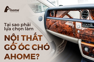 Gỗ óc chó là gì? Tại sao nên làm nội thất gỗ óc chó Ahome?