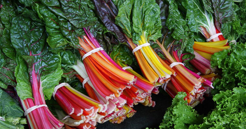 Cải cầu vồng: Lợi ích dinh dưỡng và tác dụng tuyệt vời cho sức khỏe