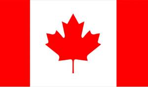 Understand the Best Web Development Company in Toronto - Acumen IT Services