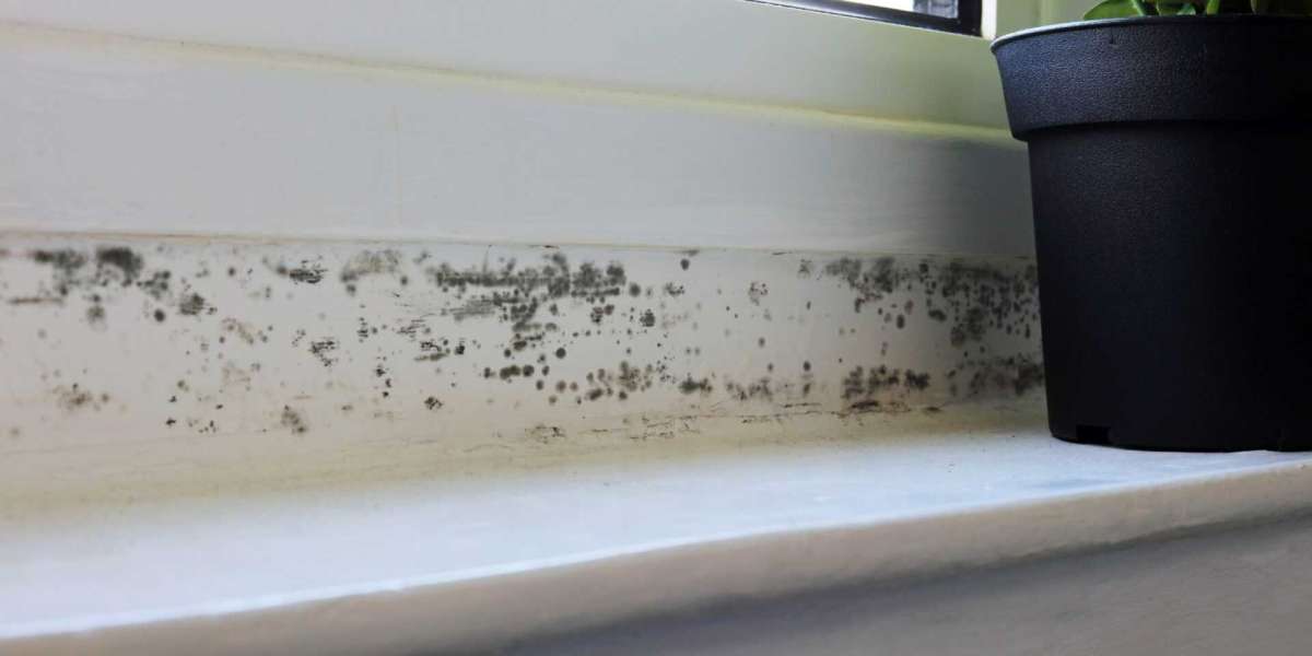Sligo Residential Mould Removal | Clean & Restore Home