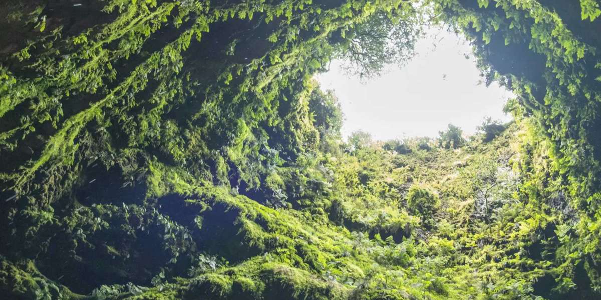 Azores Tours: Guiding You Through the Best Azores Hiking Trails