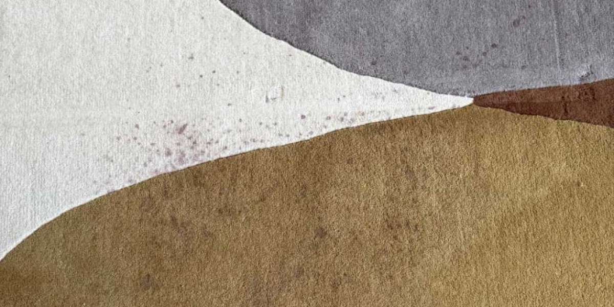 Professional Carpet Cleaners in Ile-de-France You Can Trust