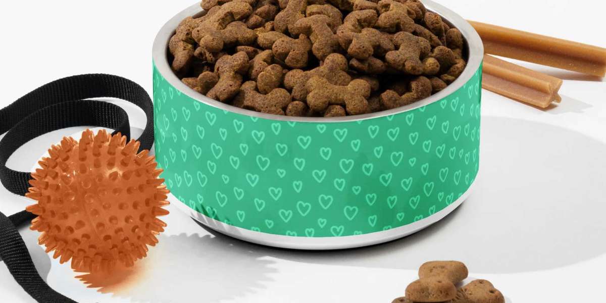 Keep Water Cold Longer with These Top Insulated Dog Bowls