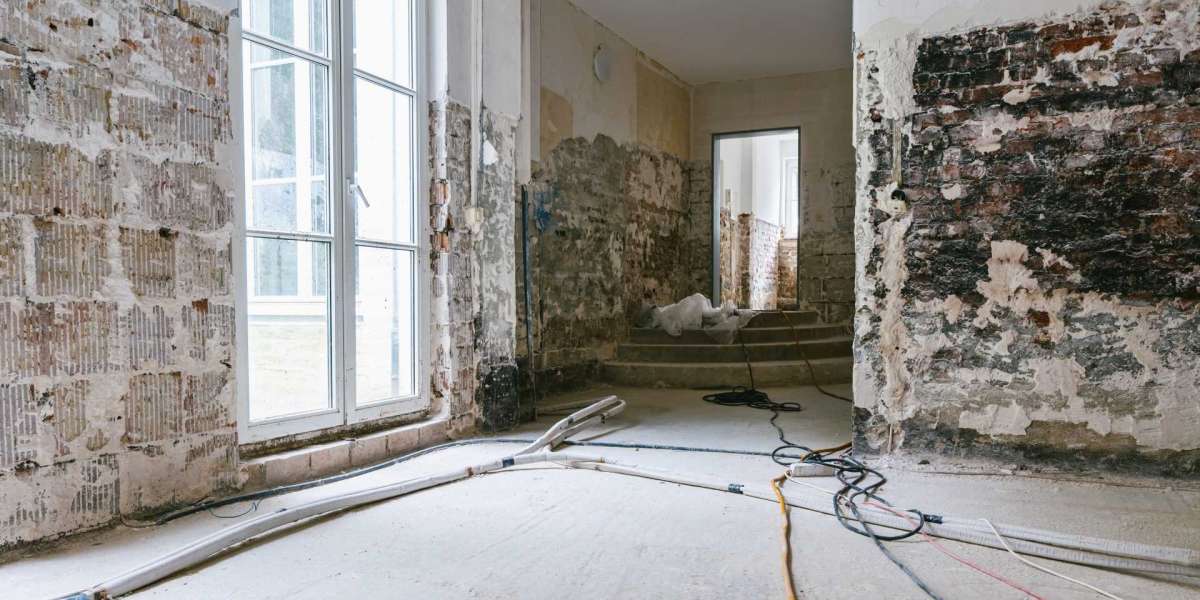 Cavan’s #1 Mould Removal Company – Safe & Effective