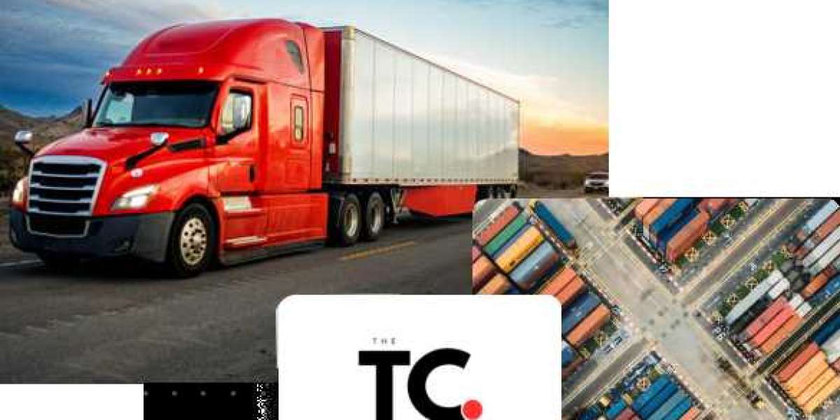The Role of a Transport Consultant: Navigating Complex Transport Challenges