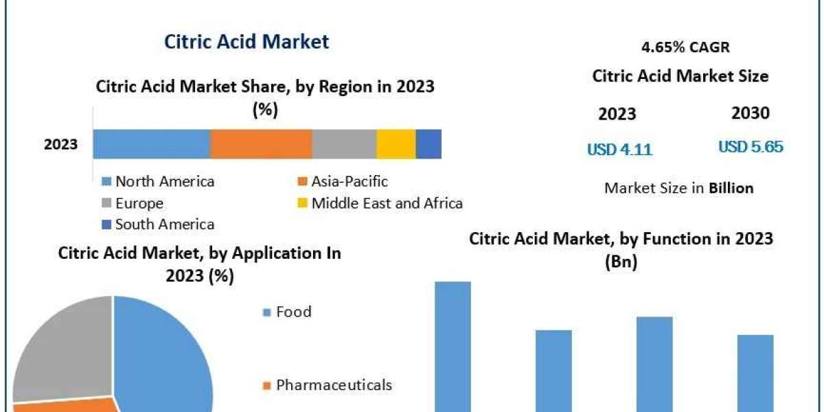 Citric Acid Market Global Trends and Technological Advancements, Forecast 2024-2030