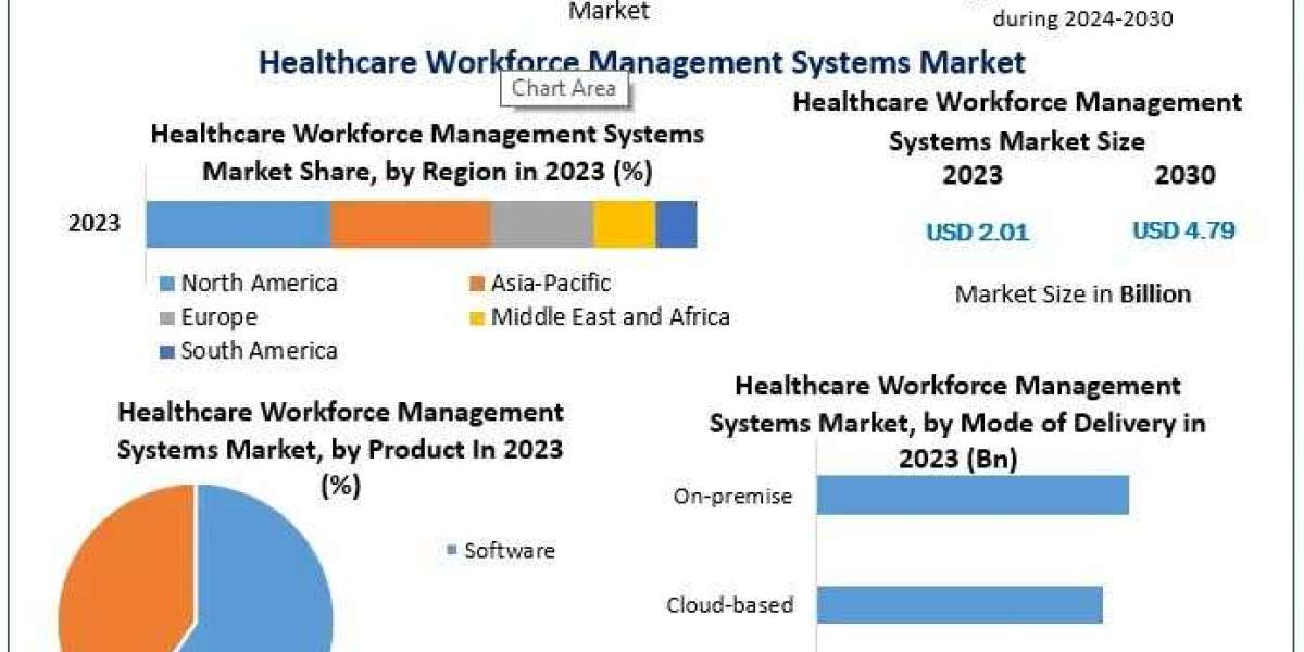 Healthcare Workforce Management Systems Market Growth Innovations On Top Key Players-2030