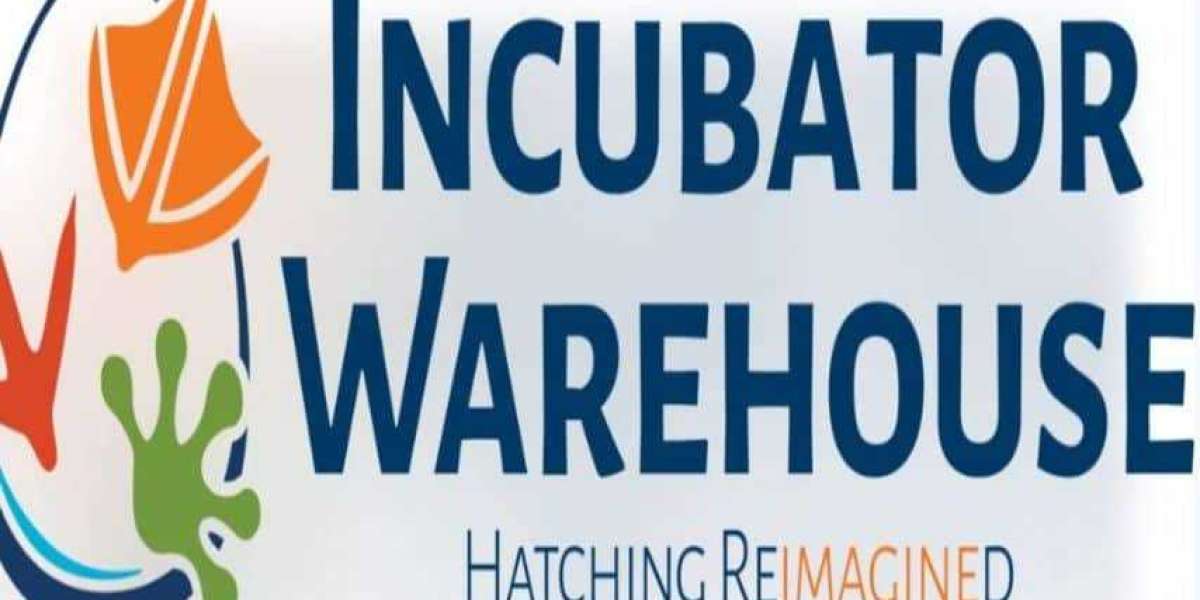 Cabinet Incubator Features Explained