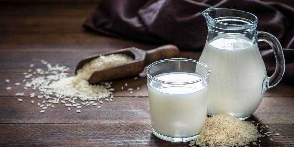 From Fields to Fridge: The Supply Chain Behind the Rice Milk Market