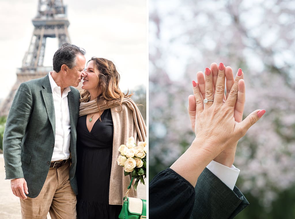 Eiffel proposal in Paris - Eiffel Tower proposal