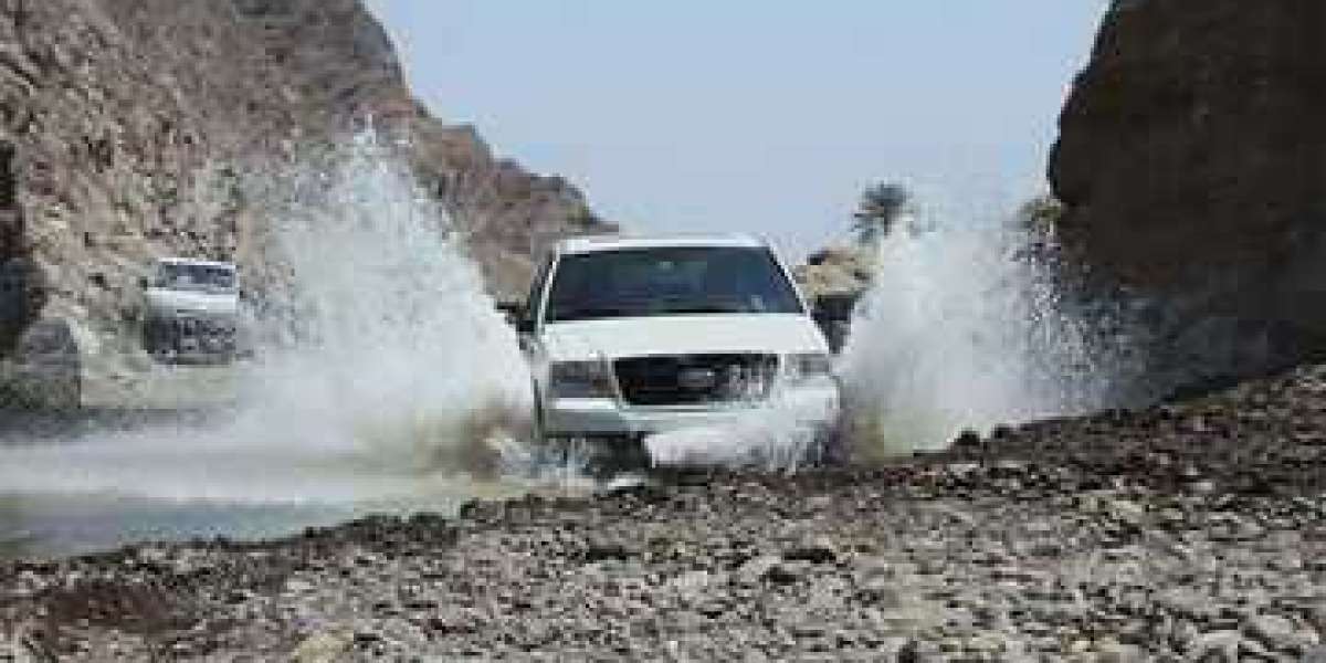Experience Morning Desert Safari Dubai