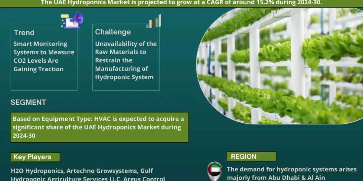 UAE Hydroponics Market to Witness 15.2% CAGR Growth Amid Rising Demand and Innovation