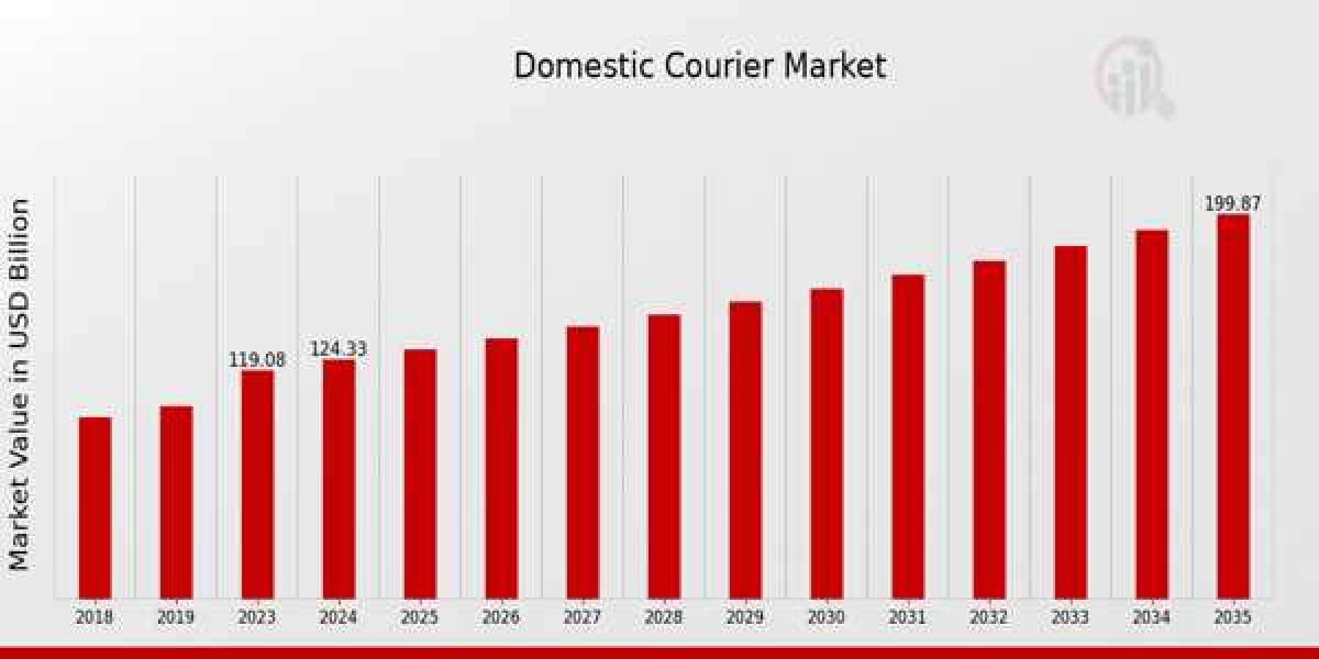 The Digital Transformation of Domestic Courier Networks