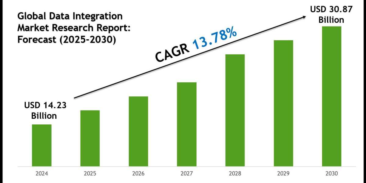 Data Integration Industry to Surpass USD 30.87 Billion by 2030 | CAGR Projected at 13.78%