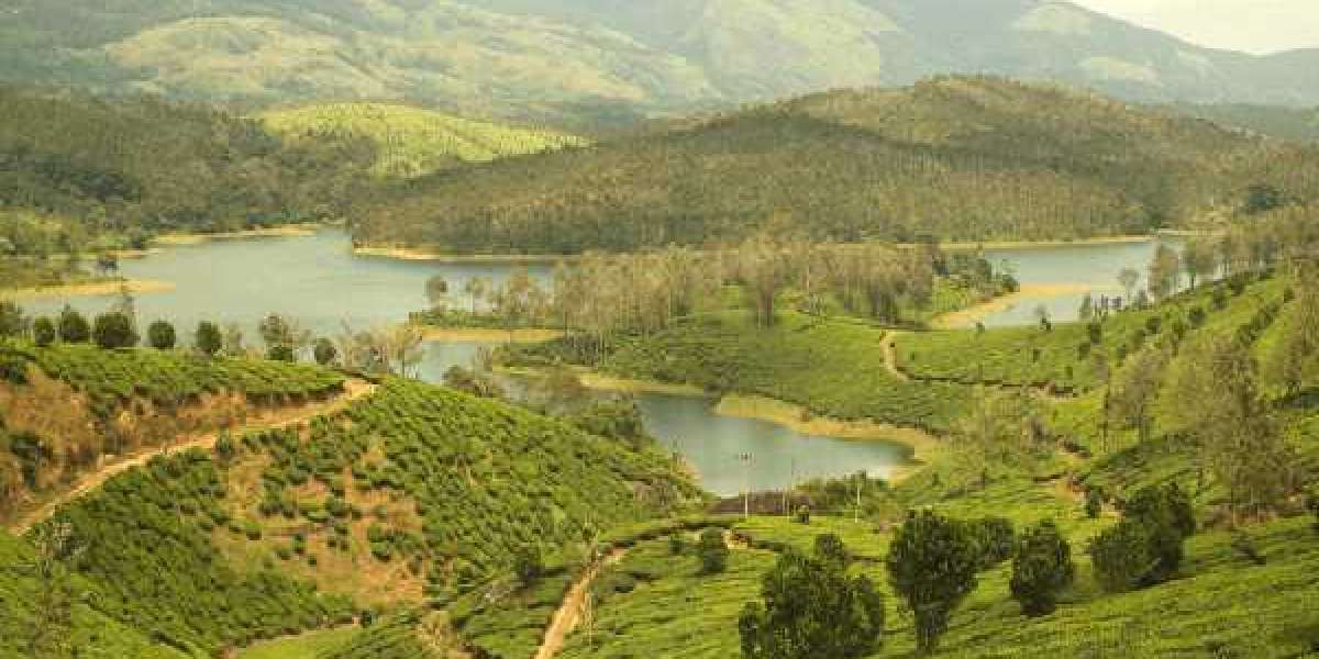 Vellore to Yelagiri Cab