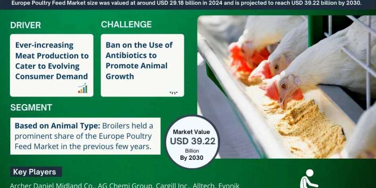 Europe Poultry Feed Market Outlook 2025: Trends, Growth & Demand