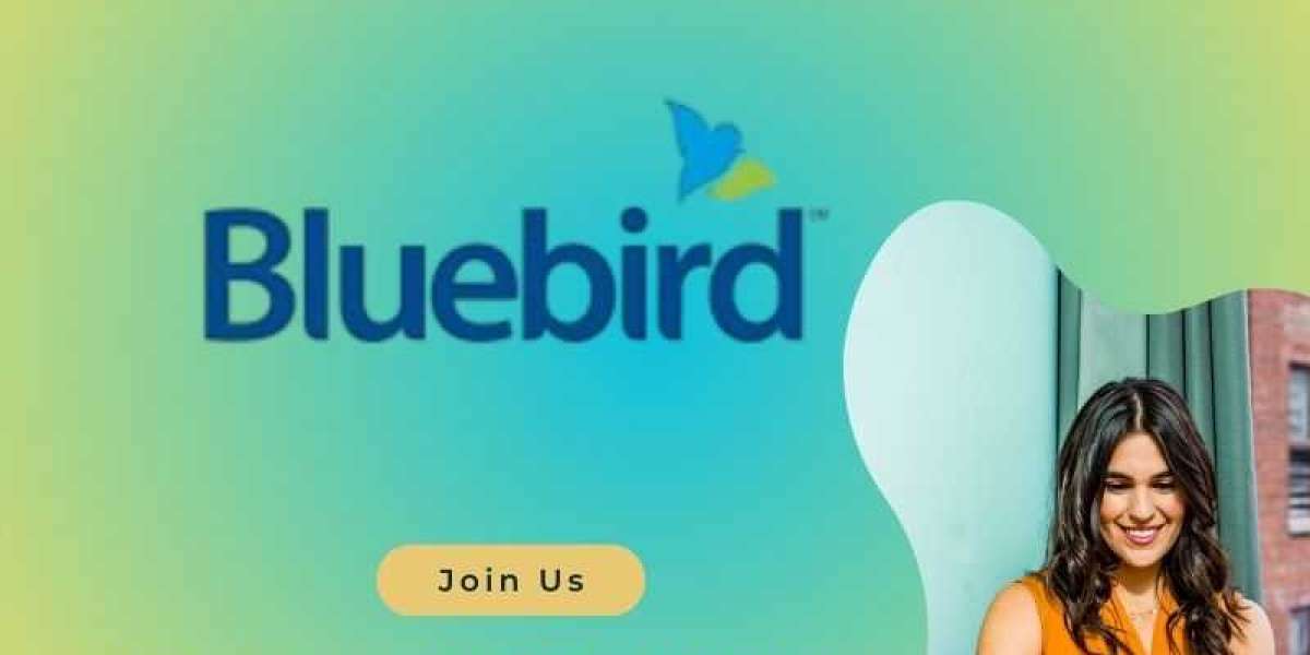 Buy Verified Bluebird Account - 100% Best Account Sell