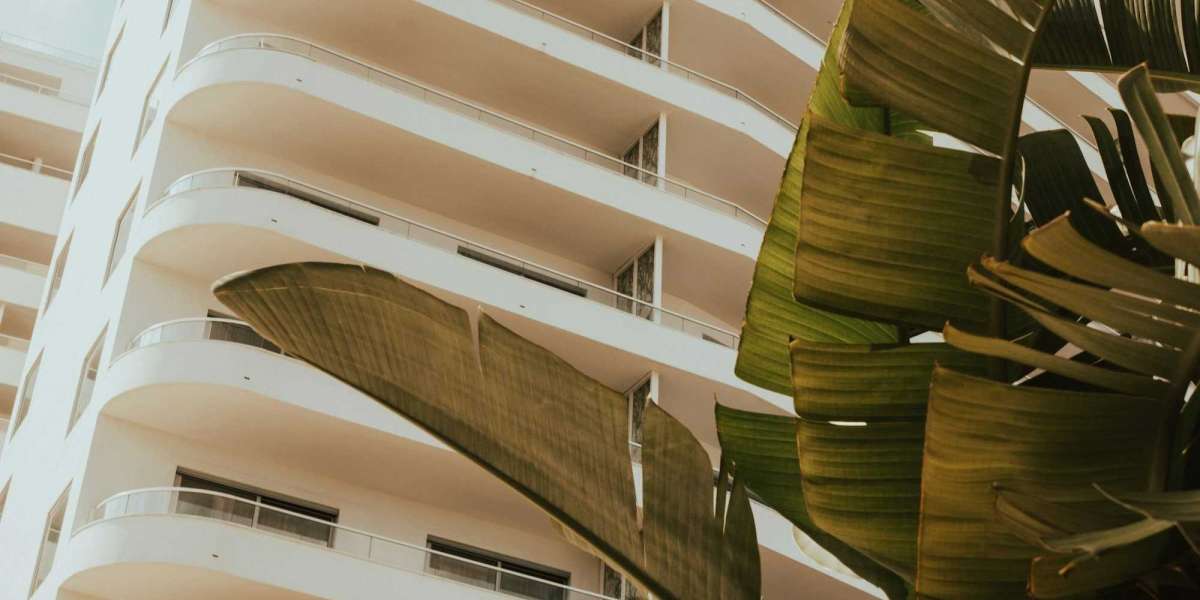 Miami Movers: Professional Relocation Services You Can Trust