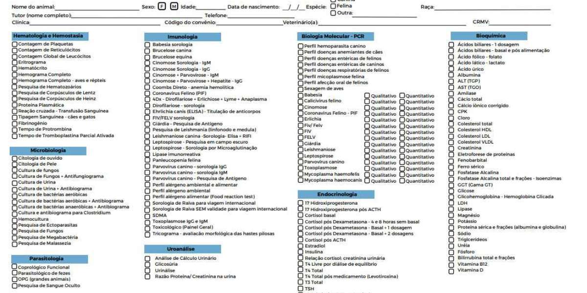 Medicamentos Mais Utilizados no Tratamento da Babesiose: Qual Escolher?