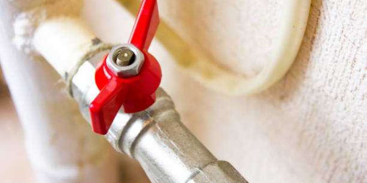 Explore the Future of Valves with Valogin: Leading the Global Market