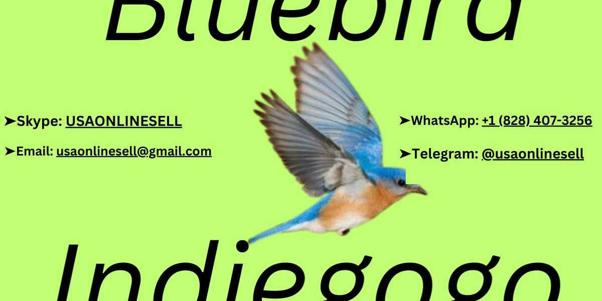 Buy Verified Bluebird Account - 100% Best Account Sell