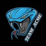 Team Acme Inc