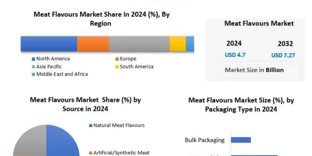 Strategic Insights into the Meat Flavour Industry: Market Share Outlook 2032