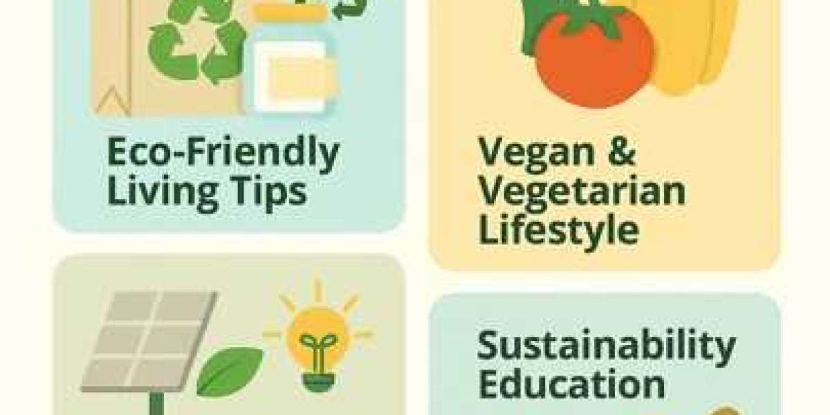 Eco-Friendly Living: Small Choices, Big Impact