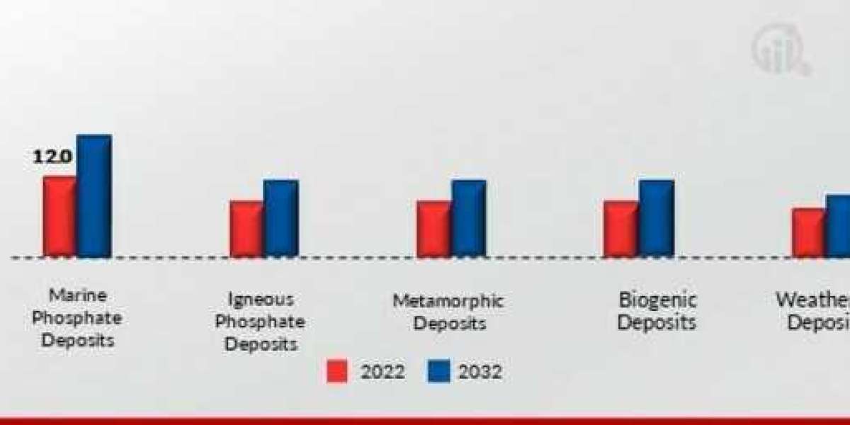 Phosphate Rocks Market Dynamics and Challenges
