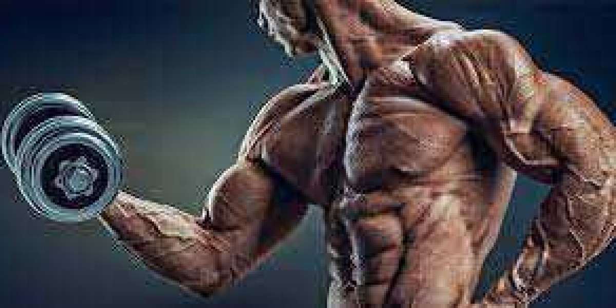 Buying Steroids Online: A Comprehensive Guide to Safe Purchases