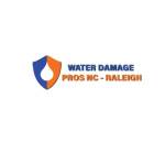 the Water Damage Pros Raleigh nc