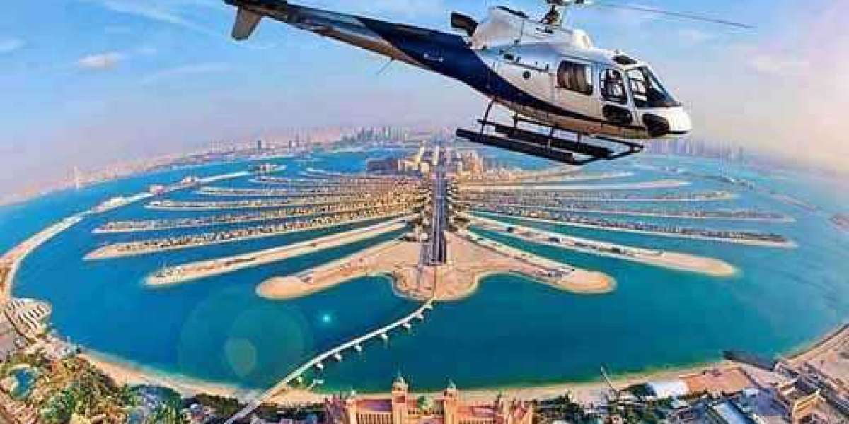 Abu Dhabi City Tour: Heritage and Skylines