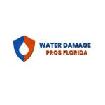 Water Damage Pros FL