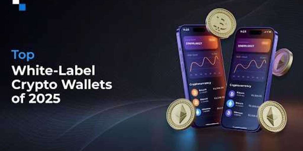Top White Label Wallet Developers 2025
