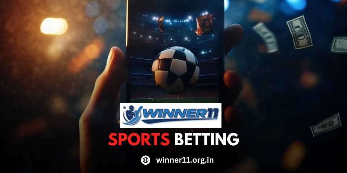 5 Reasons Winner 11 Is the Best Platform for Cricket & IPL Lovers