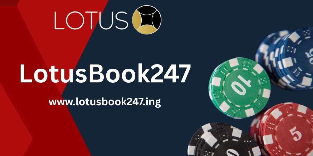 Card Games at Dawn: Why LotusBook247 Attracts Early Risers