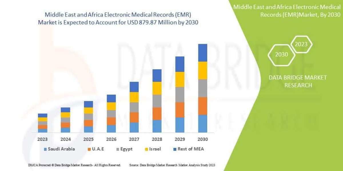 Middle East and Africa Electronic Medical Records (EMR) Market Graph: Growth, Share, Value, Size, and Insights