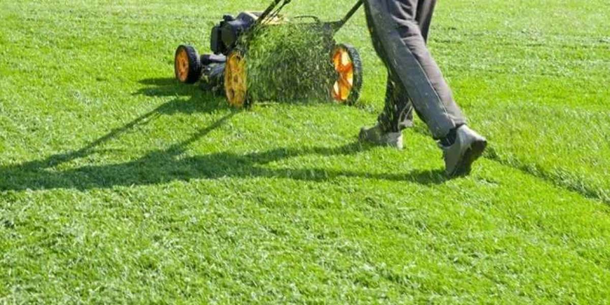 Expert Lawn Care Services in Downtown GA