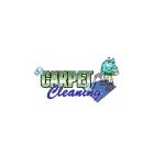 Pro Touch Carpet Cleaning