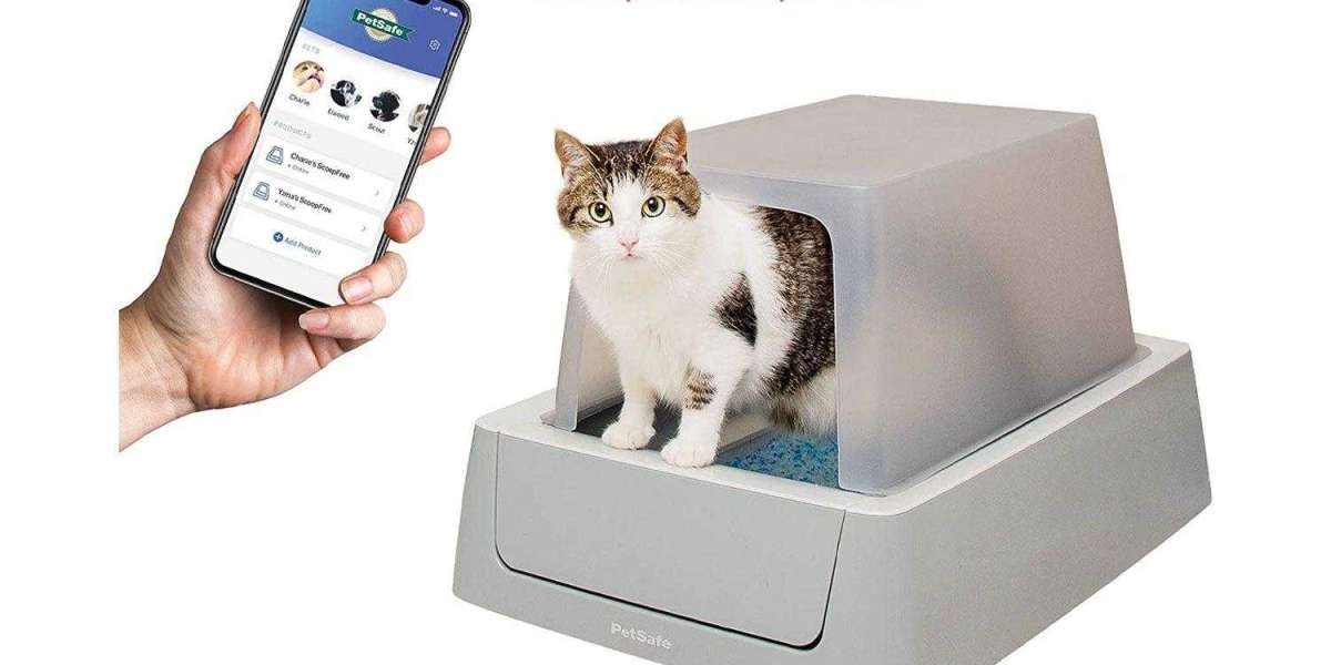 Why Pawtechpet Automatic Cat Litter Box Redefines Clean Homes