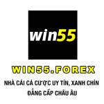 win55 forexx