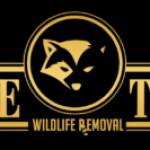 One Time Wildlife Removal and Pest Control