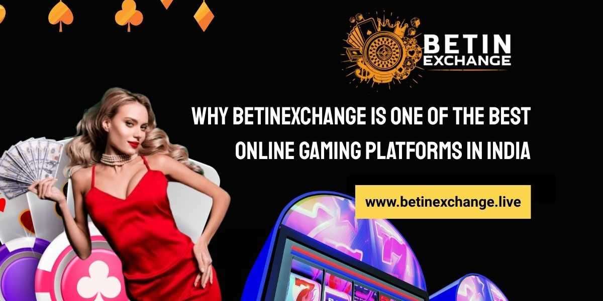Why Betinexchange is One of the Best Online Gaming Platforms in India