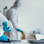 alpinecleaning services