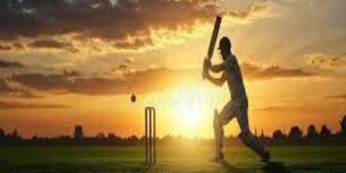 Best Online Cricket ID – Play, Bet, and Win with Confidence