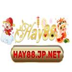 HAY88