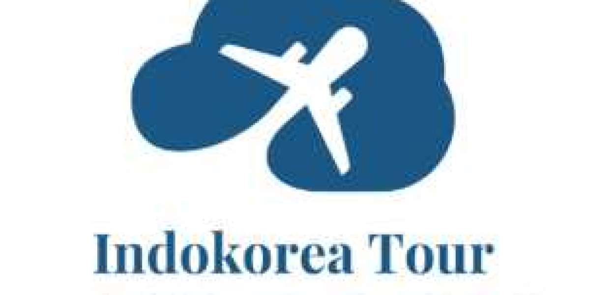 Why Should You Choose Indo Korea Tour for a Travel Package to Seoul South Korea?