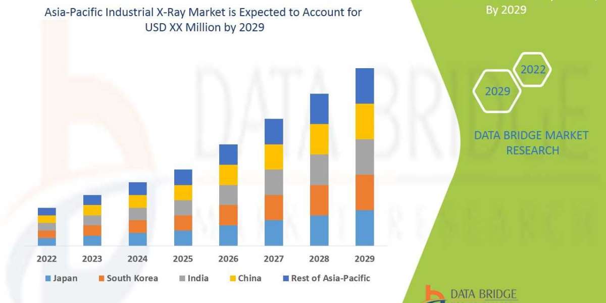 Asia-Pacific Industrial X-Ray Market: Insights and Competitive Analysis